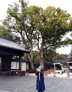 NAGOYA - Parc Tokugawa - 10.01.2024 - 07